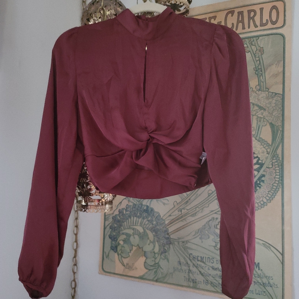 Zara Crop Top Blouse Burgundy Red